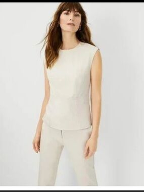 Ann Taylor Top